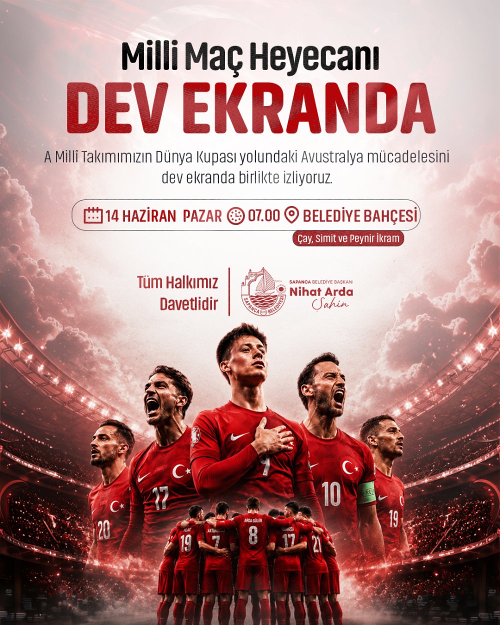 Dünya Kupası Maçı