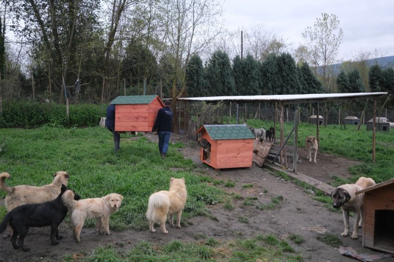 Sapanca Belediyesi Hayvan Bakımevi ’ne Anlamlı Destek