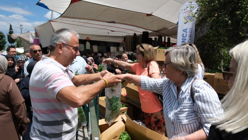 Sapanca Belediyesi’nden Sebze Fidesi Dağıtımı