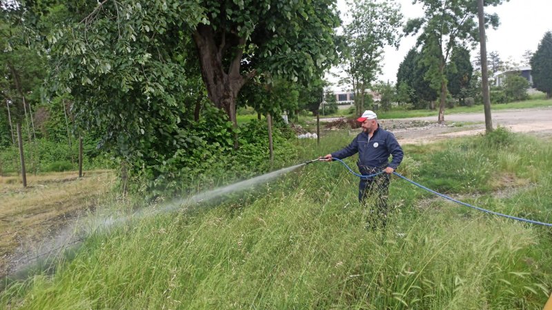 Sapanca’da Park ve Bahçelerde Hummalı Çalışma